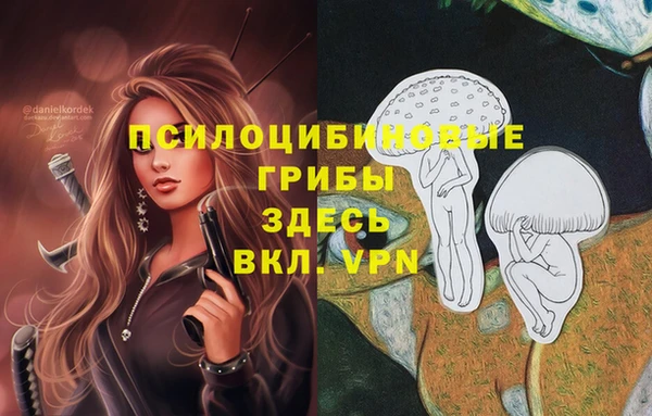 MESCALINE Кукмор