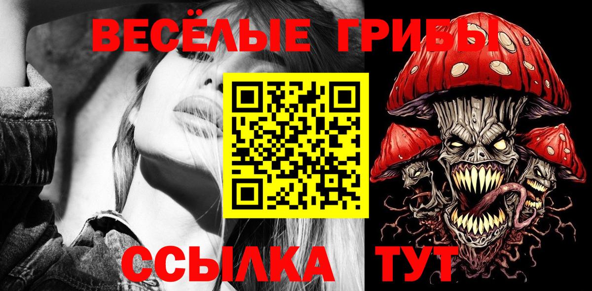 Галлюциногенные грибы Psilocybe Нарьян-Мар